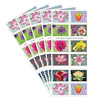 Garden Beauty Forever Stamps - 5 Booklets of 20 for Weddings, Anniversaries, and Celebrations, First Class Postage, USA (100 Stamps Total)