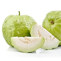 Sweet Guava Seeds Psidium Guajava Sweet, Aromatic, Flavorful Flesh Drought-Tolerant Low-Maintenance Culinary Uses Good Source of Vitamin C and Dietary Fiber Tropical Fruit 20PCS YEGAOL Garden