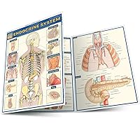Endocrine System (Quick Study Academic) Endocrine System (Quick Study Academic) Pamphlet