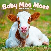 Baby Moo Moos | 2024 12 x 24 Inch Monthly Square Wall Calendar | BrownTrout | Domestic Cows Animals