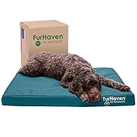 Furhaven Water-Resistant Orthopedic Dog Bed for Large/Medium Dogs w/ Removable Washable Cover, For Dogs Up to 55 lbs - Indoor/Outdoor Logo Print Oxford Polycanvas Mattress - Deep Lagoon, Large