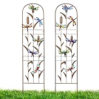 2 Pack Metal Garden Trellis with Colorful Dragonfly 60 Inch High Outdoor Decoration Arched Fence Trellis for Climbing Plants for Patio, Lawn, Yard, Backyard, Wall Brackets