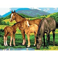 Paint by Numbers Junior Horses, DIY Picture Approx. 40 x 32.5 cm, Includes 7 Acrylic Paints, Brush and Printed Painting Card, Ideal for Beginners and Children from 8 Years