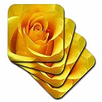 3dRose CST_3648_1 Yellow Rose Soft Coasters, Set of 4