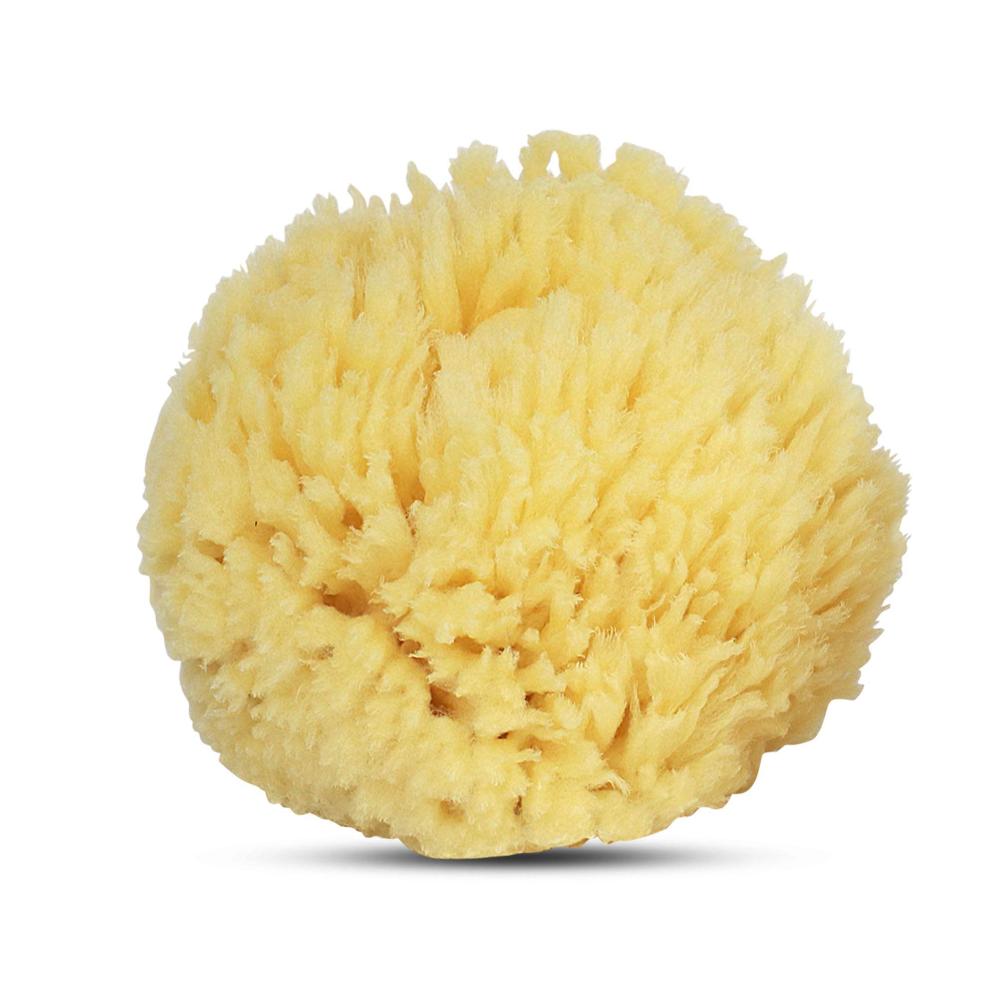 Baby Buddy Natural Wool Sea Sponge, Baby Bath Sponge, Soft on Tender Skin, Hypoallergenic, Brown, 4.5in, 1 Count