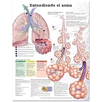 Comprendiendo el Asma / Understanding Asthma (Spanish Edition)