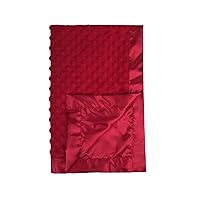 Pro Goleem Baby Soft Minky Dot Blanket with Silky Satin Backing Baby Gifts for Boys and Girls (Red, 30’’ x 40’’)