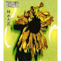 Withered flowers Withered flowers Audio CD