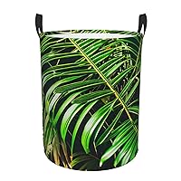 Palm Tree Green Leaves Round waterproof laundry basket,foldable storage basket,laundry Hampers with handle,suitable toy storage