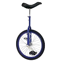 20 Inch Wheel Unicycle with Alloy Rim, Blue