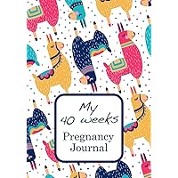 My 40 weeks Pregnancy Journal: My 40 Weeks Journey 7x10 Notebook for Doctor appointments, to do list, weight, baby size, Thoughts & Feelings...