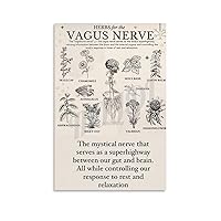 Poster of Chinese Medicine Museum Poster for A Guide to Herbs for The Vagus Nerve Canvas Painting Posters And Prints Wall Art Pictures for Living Room Bedroom Decor 08x12inch(20x30cm) Unframe-style