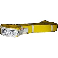 Ancra Cargo 20-EE2-9802X12 S-Line Eye Twisted Web Lifting Sling, 2 in W X 12 Ft L, 2-Ply, Loop End, 12'