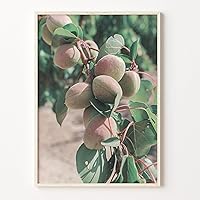 Green Apricot Tree Poster - Colorful Wall Art Print, Boho Decor Photography for Home & Office