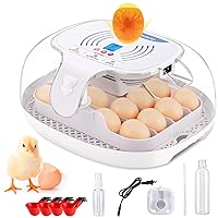 Sailnovo Egg Incubator for Hatching Chicks, 16-35 Eggs Incubator with Automatic Water Top-up, Auto Turning, Egg Candler, ℉ Display, 360° View Poultry Incubator for Hatching Chicken, Blue
