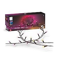 Indoor/Outdoor Holiday 130-Foot Festavia String Lights - 500 Mini Color Changing Smart LEDs - Weatherproof - Control with Hue App - Works with Alexa, Google Assistant and Apple HomeKit