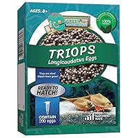 Greenwaterfarm Triops Longicaudatus Eggs for Hatching and Culture Suitable to be Pet and Science Project (Pure 200 Eggs)