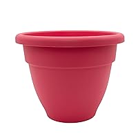 The HC Companies 8 Inch Caribbean Planter - Lightweight Indoor Outdoor Plastic Plant Pot for Herbs and Flowers, Pink Rose