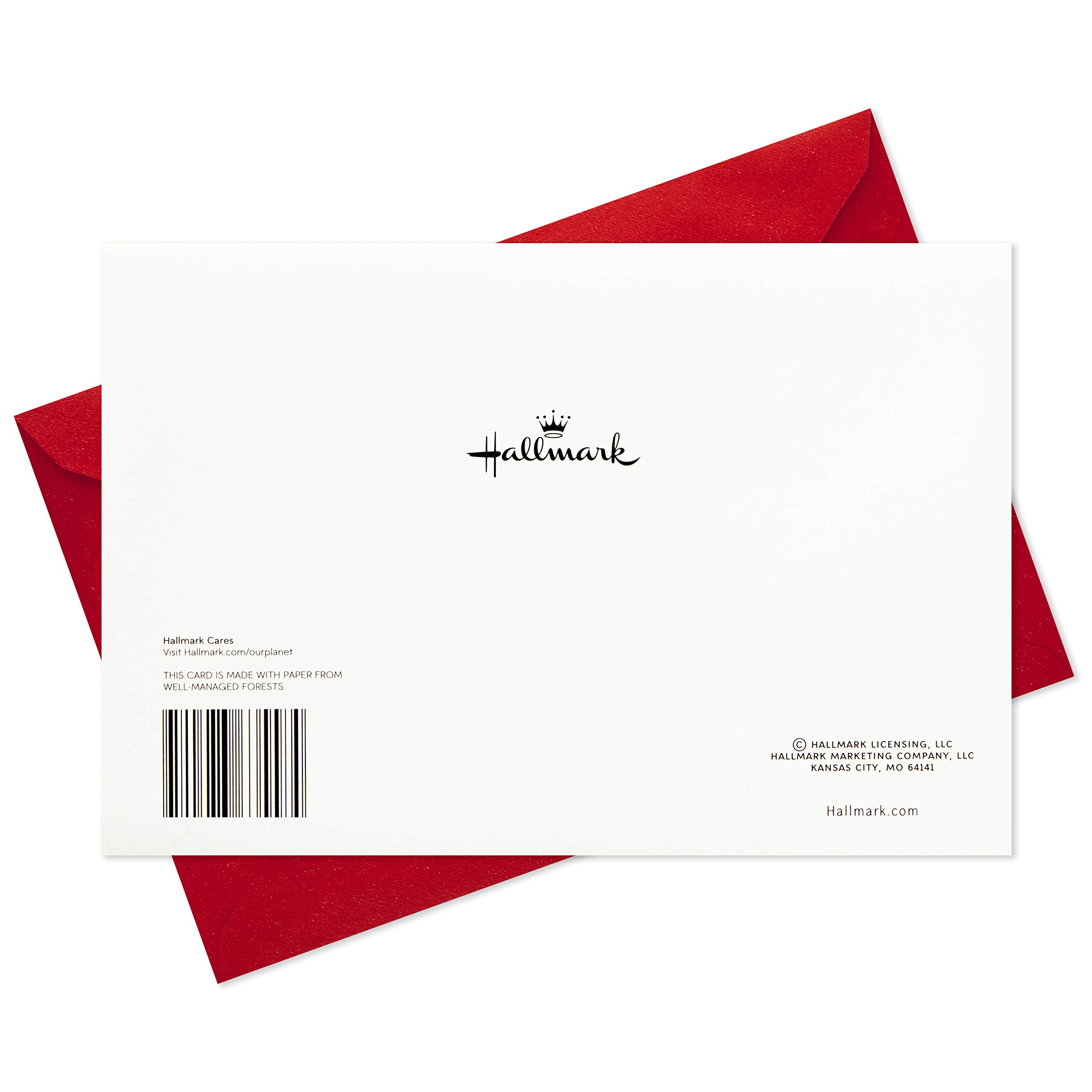 Hallmark Boxed Holiday Cards (Season's Greetings Snowflake, 40 Holiday Cards with Envelopes) (1XPX5667)