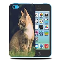 Adorable CAT Kitten Feline #79 Phone CASE Cover for Apple iPhone 5C