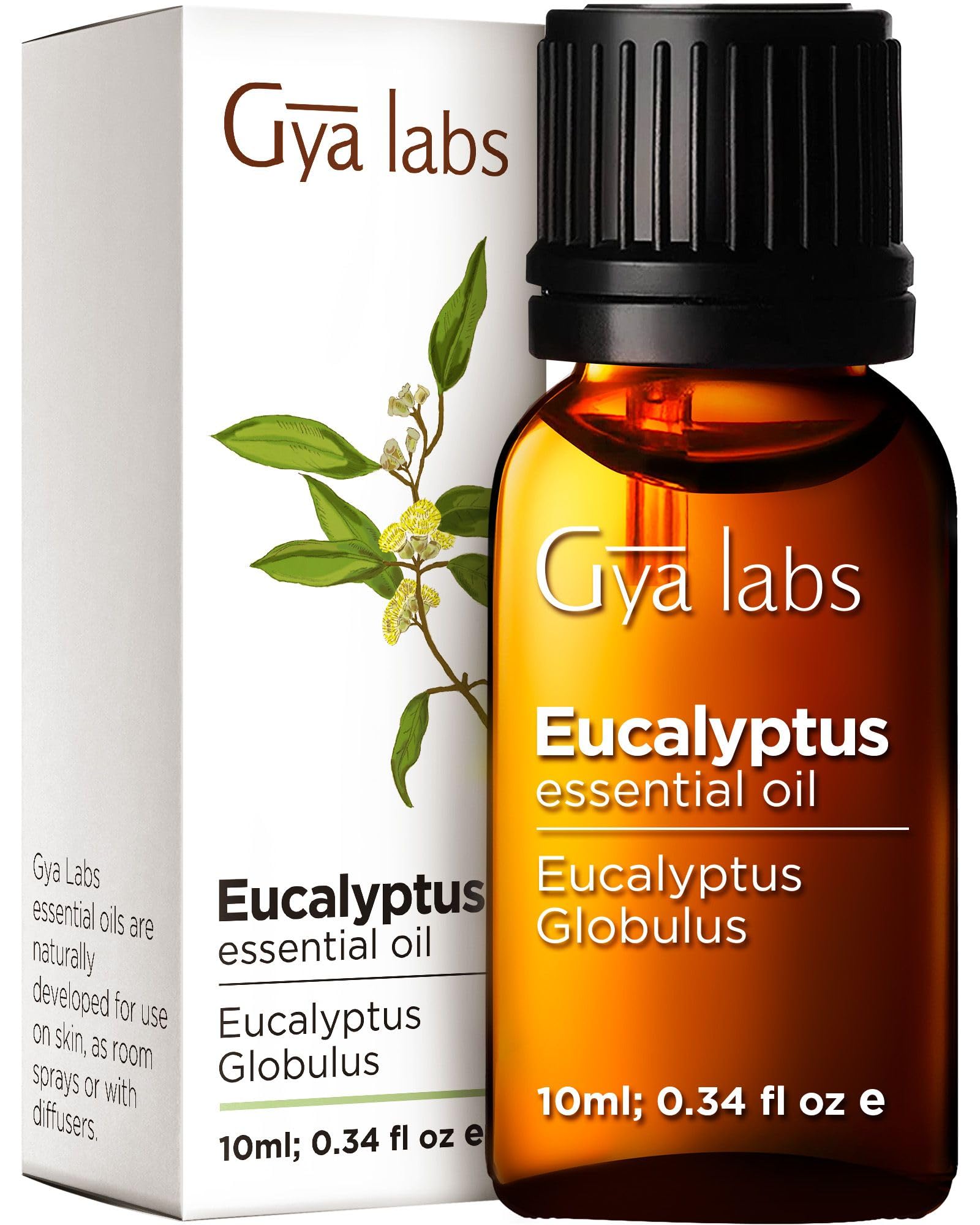 Gya Labs Eucalyptus Essential Oil - 100% Natural Eucalyptus Oil Essential Oils for Diffuser, Skin, Humidifier & Hair (0.34 fl oz)