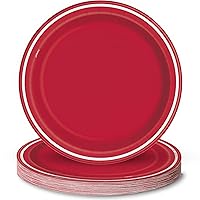 Vibrant Red Thin Stripes Dinner Paper Plates (9