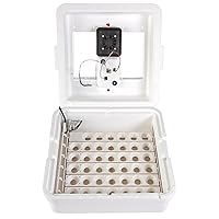 Little Giant® Digital Circulated Air Incubator with Automatic Turner | 41 Eggs | Egg Incubator with Fan and Egg Turner