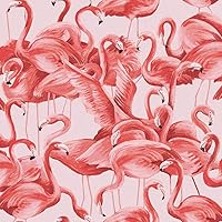 Tempaper Cheeky Pink Flamingo Removable Peel and Stick Wallpaper, 20.5 in X 16.5 ft, Made in the USA