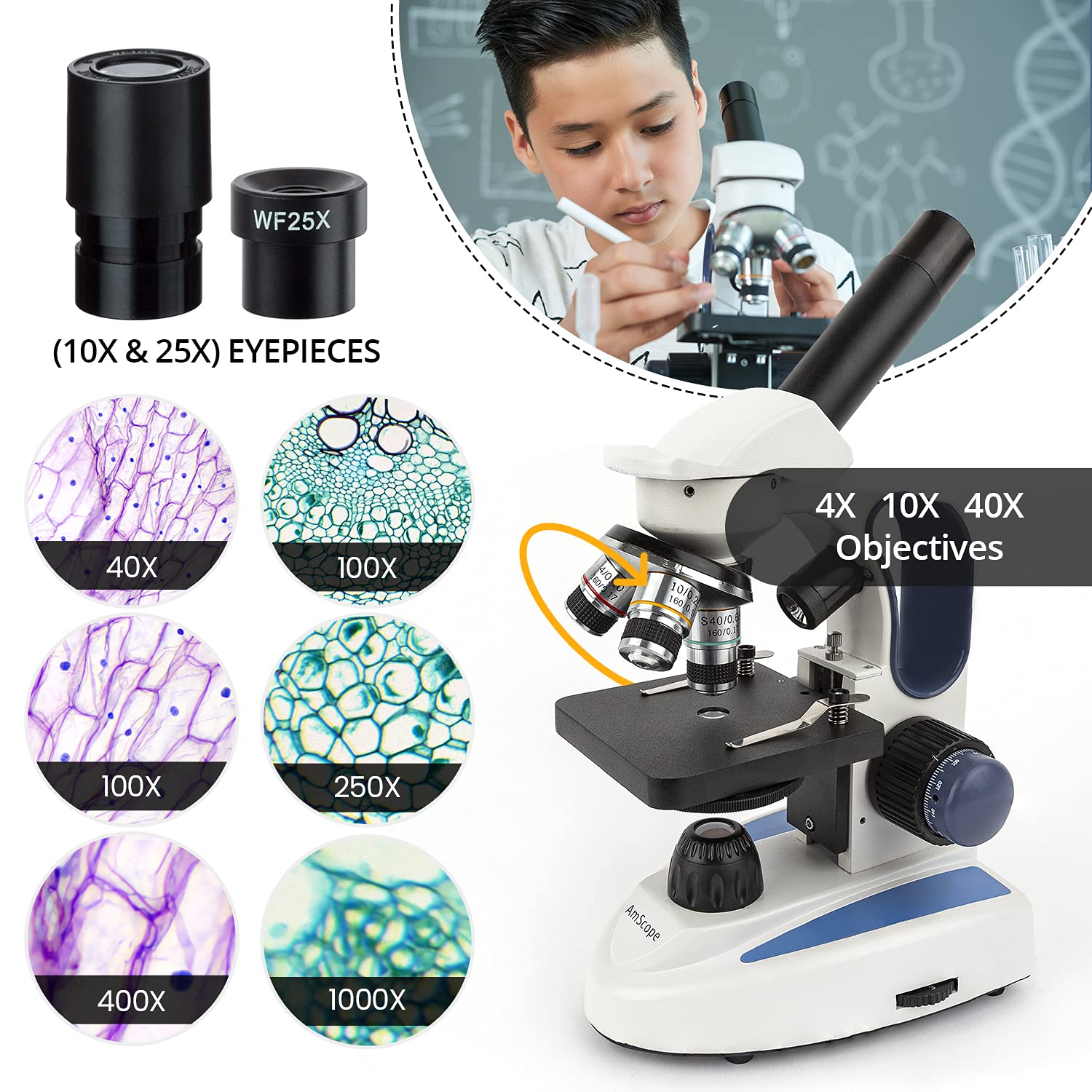 AmScope M158C-E Compound Monocular Microscope, WF10x and WF25x Eyepieces, 40x-1000x Magnification, Brightfield, LED Illumination, Plain Stage, 110V, Includes 0.3MP Camera and Software