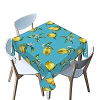Fruit Pattern Tablecloth Square,Lemon Theme,Waterproof/Spill Proof/Stain Resistant/Wrinkle Free/Oil Proof Table Cover,for Birthday Cake Table Holiday Banquet Decoration（Blue，40 x 40 Inch）