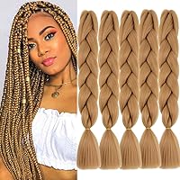 Ombre Jumbo Braids 24 Inches Colorful Synthetic Kanekalon Hair Extensions for DIY Twist Crochet Braiding Hair 5pcs 100g/pc, #27 Honey