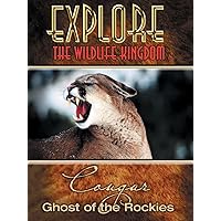 Explore The Wildlife Kingdom: Cougar - Ghost of the Rockies