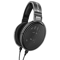 Sennheiser Consumer Audio HD 650 - Audiophile Hi-Res Open Back Dynamic Headphone, Titan