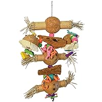 Prevue Pet Products Physical & Mental Bodacious Bites Bamboo Shoots Bird Toy 62474