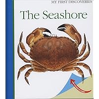The Seashore (13) (My First Discoveries) The Seashore (13) (My First Discoveries) Spiral-bound