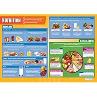 Nutrition Child Development Poster – Laminated – 33” x 23.5” – Educational School and Classroom Posters