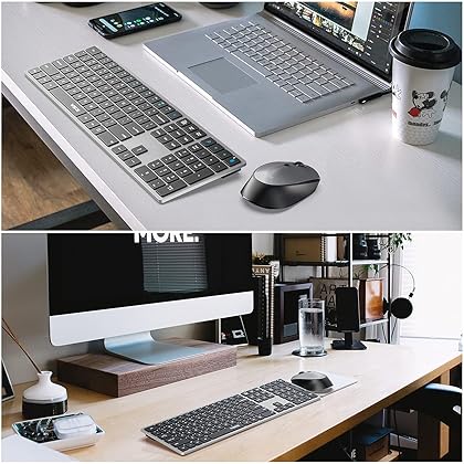 WisFox Wireless Keyboard and Mouse, Lag-Free Ultra Slim Keyboard with Silent Keys, Smart Sleep Mode, Ergonomic Cordless Mouse Combo with 3 DPI for Windows, Computer, Laptop, Mac, PC(Silver and Gray)