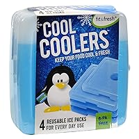 Fit & Fresh Kids Cool Coolers Contain Ct5 Ice Chest Box