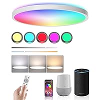 Ceiling Light LED Dimmable Flush Mount RGB Panel Smart Alexa Google Home WiFi with Remote Control for Living Room Bedroom Dinning Kitchen Hallway Bathroom Round 12Inch 24W White