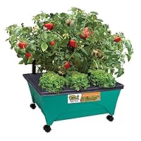 Emsco Group 2360 Little Pickers Raised Bed Children’s Improved Aeration – Mobile Unit with Casters – Teaches Kids Self Watering Grow Box, Teal