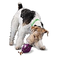 PetSafe Busy Buddy Twist 'n Treat Dispensing Dog Toy - Medium,Purple,Large Breeds