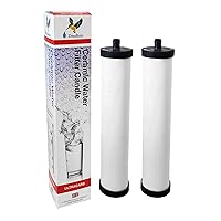 Doulton ¦ W9223031 ¦ UltraCarb SI Push Fit Drinking Water Filter with Scale Reduction. Compatible with Franke 03, 06 and Omni 4-in-1 Boiling Tap, Qettle 08, Carron Phoenix CP08 ¦ 1595 ¦
