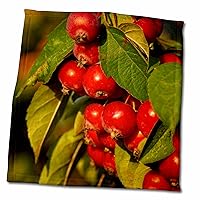 3dRose Clusters of red crabapple Fruits on a Tree, Green Leaves - Towels (twl-300778-3)
