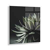 Warrior Succulent Floating Acrylic Art by Emiko and Mark Franzen of F2Images, 23x23. Decorative Botanical Art for Wall