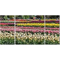 3 Piece Wall Art Framed Large Big Canvas Wall Art Decor For Living Room Bedroom Kitchen Office Tulips garden Holland Michigan during Tulip festival Paintings Artwork Pictures Prints