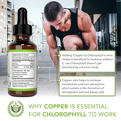 Chlorophyll Liquid Drops – Energy Boost | Immune System Support | Internal Deodorant | Altitude Sickness. Premium Quality – 100% Natural, Potent, Minty Taste, 2X Absorption.