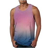 Sleeveless Shirts for Men 2024 Fashion Causal Loose Gradient Color Sleeveless Crew Neck Tank Tops Muscle Fit Shirts Work