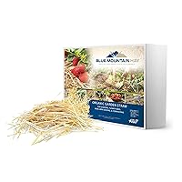 Organic Garden Straw (25 lb) | Blue Mountain Hay | Straw Mulch for Raised Bed Gardens, Yard Landscaping, New Lawn Grass Seed Plantings, Tomato & Vegetable Mulch | Covers up to 375 sq ft