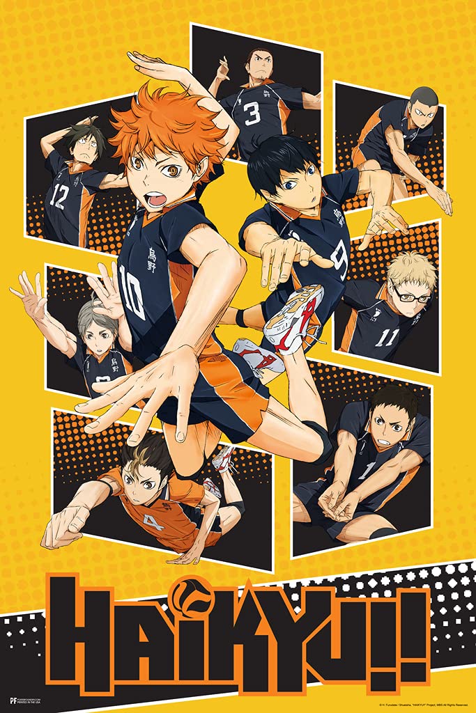 Mua Haikyuu Poster Karasuno High School Volleyball Team Shoyo Anime Stuff  Haikyuu Manga Haikyu Anime Poster Crunchyroll Streaming Anime Merch  Animated Series Show Cool Wall Decor Art Print Poster 12x18 trên Amazon