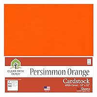 Persimmon Orange Cardstock - 12 x 12 inch - 65Lb Cover - 50 Sheets - Clear Path Paper
